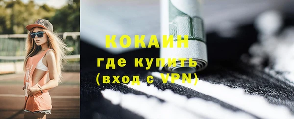 молекула духа Алексин