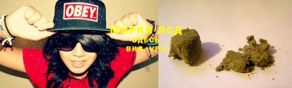PSILOCYBIN Алексеевка