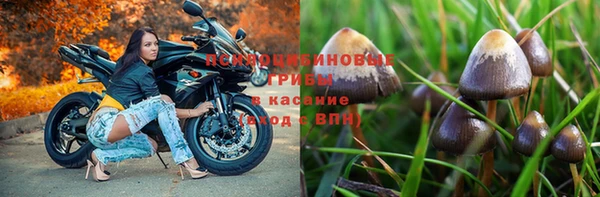 ГАЛЛЮЦИНОГЕННЫЕ ГРИБЫ Приозерск