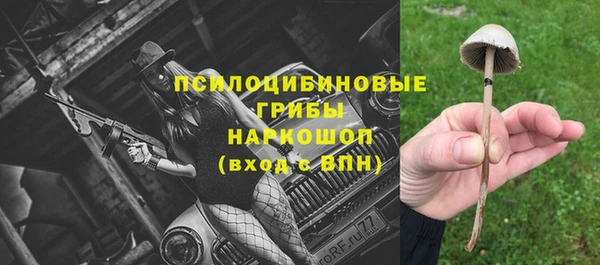 крисы Абдулино