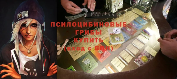 PSILOCYBIN Алексеевка